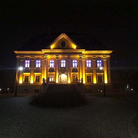 Hotel Palac Borynia Jastrzębie Zdrój Buitenkant foto